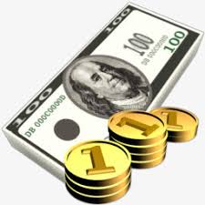 test Cura Women Basic Top